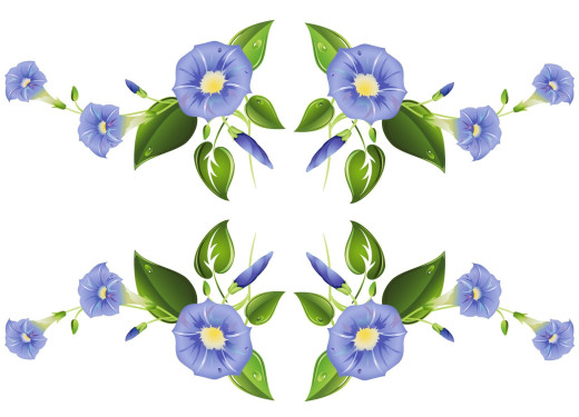 1286850 (a): :2000x1440